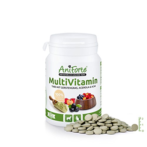 AniForte® MultiVitamin Tabs 100 Stk. Vitamin A B C D E K Provitamin A Gerstengras Acerola Acai- Naturprodukt für Hunde und Katzen