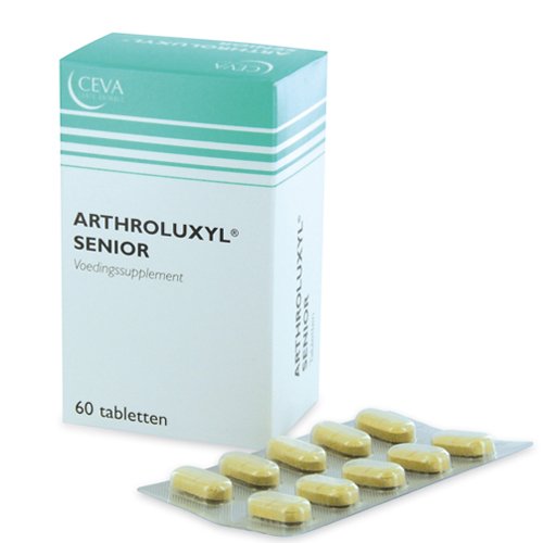 Arthroluxyl senior 6x10 Tabl.