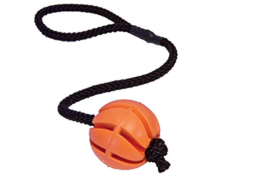 CopcoPet - hundeballspirale am Seil Gr.: 30 cm x 7 cm Ø Orange