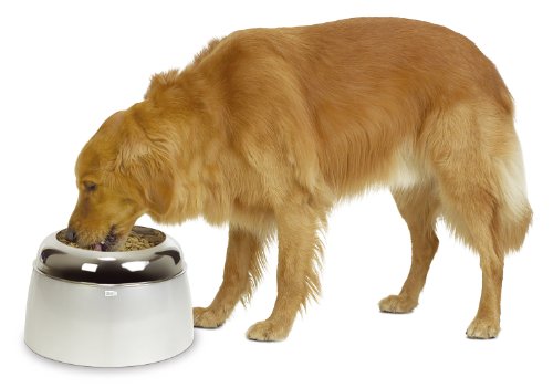 Dogit 73660 erhöhter Futternapf für große Hunde, 2.5 L