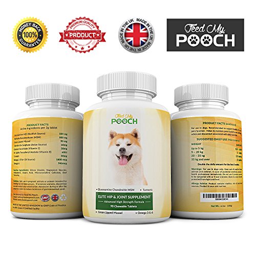 Glucosamin Chondroitin für Hunde mit MSM - Fortgeschrittene Nahrungsergänzungsmittel zur Förderung der Gesundheit von Hüfte und Gelenken Ihres Hundes - Lindert Arthritis -Gegen Schmerzen bei Hunden z.B. bei Hüftdysplasie - Hunde-Nahrungsergänzungsmittel für die Gelenke