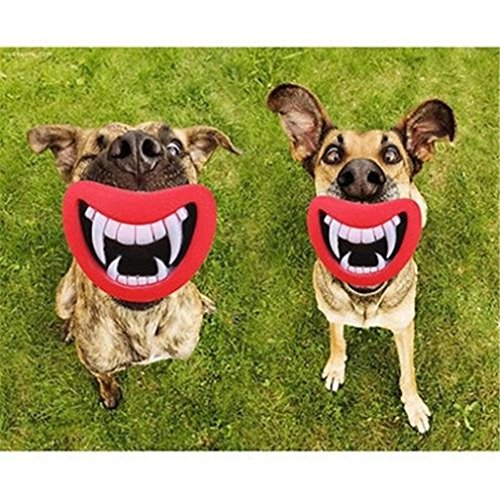 Hengsong Lustig Hundespielzeug Hunde Lippen Kauspielzeug Quietschspielzeug (Rot)