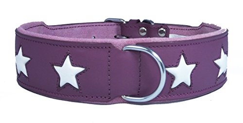 Hundehalsband, Leder, Violett mit 4 weißen Sternen, für 48,3-55,9 cm Hals