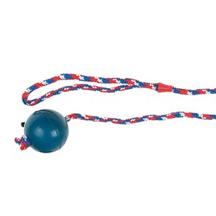 Hundespielzeug: 6 x Ball aus Gummi am Seil Ø 6,3cm #501754