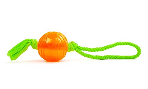 Hundespielzeug Ball Seil Wurfball robustes haltbares Hund Spielzeug (orange)