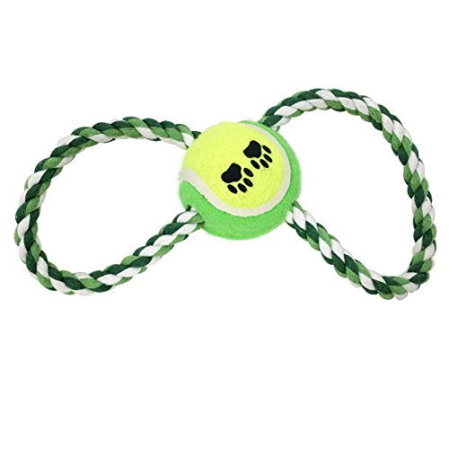 Hundespielzeug Ball am Seil Hundeball Apportierspielzeug Wurfspielzeug Zahnpflege Grün HTS2055gn