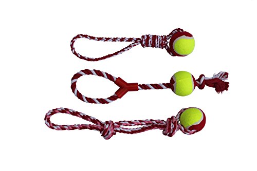 Hundespielzeug GNATSCH - 3er-Set - Ball mit Seil - zum Werfen und Apportieren (rot)