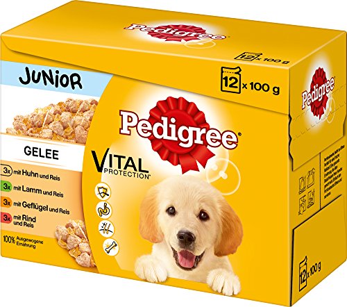 Pedigree Junior Hundefutter in Gelee, 48 Beutel (4 x 12 x 100 g)