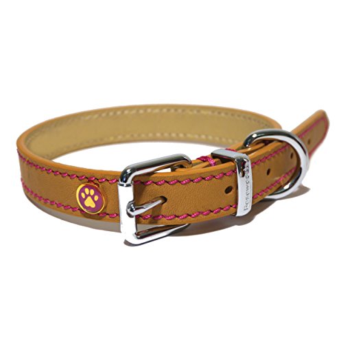 Rosewood 04000 Leder-Hundehalsband für Halsumfang von 25.4-35.6 cm, hellbraun