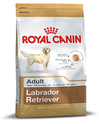 Royal Canin 35298 Breed Labrador Retriever 12 kg