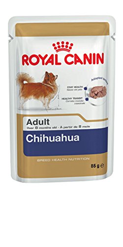 Royal Canin - Breed Health Nutrition Chihuahua Adult 12x85g
