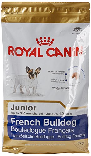 Royal Canin French Bulldog 30 Junior 3 kg, 1er Pack (1 x 3 kg)