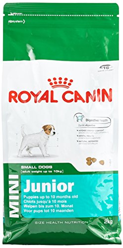 Royal Canin Hundefutter Mini Junior 33, 2 kg, 1er Pack (1 x 2 kg)