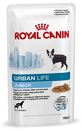 Royal Canin Hundefutter Urban Junior Dog 150 g, 10er Pack (10 x 150 g)