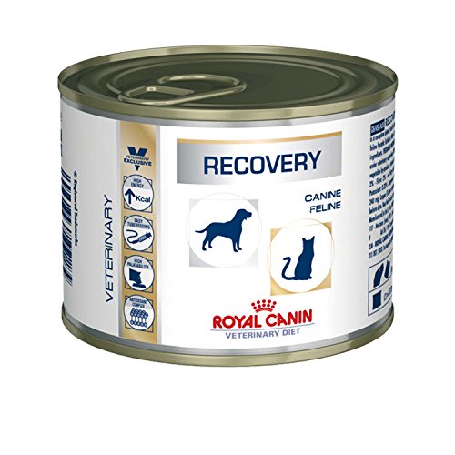 Royal Canin Recovery für Katzen & Hunde - 12 x 195 gr