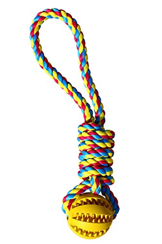 TAILMATE Hundespielzeug Ball am Seil,Naturgummi,Saubere Zähne,Tauziehen Spiel, für Mittlere Hunde und Große Hunde (Typ 1, gelb)