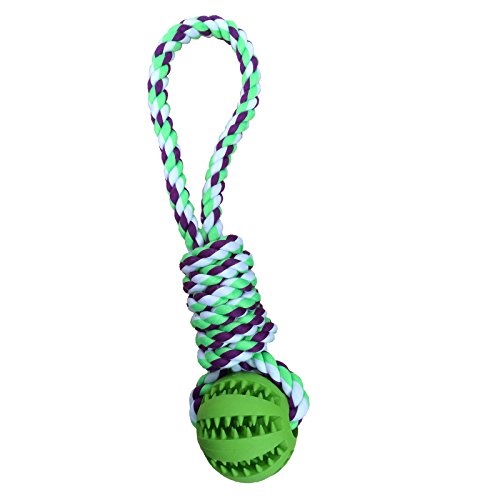 TAILMATE Hundespielzeug Ball am Seil,Naturgummi,Saubere Zähne,Tauziehen Spiel, für Mittlere Hunde und Große Hunde(Typ 1, grün)