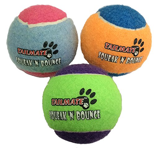 TAILMATE Tennisball mit Squeaker, Hund kauen Spielzeug,Naturkautschuk Hundebälle (Gruppe2)