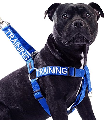 ABRICHTUNG Training Blau Farbkodiertes Nylon Nicht Ziehen Vorderseite Rückseite Ring Große L-XL-Hundegeschirr   (Bitte nicht stören) verhindert Unfälle durch Warnung Sonstige Ihren Hund im Voraus