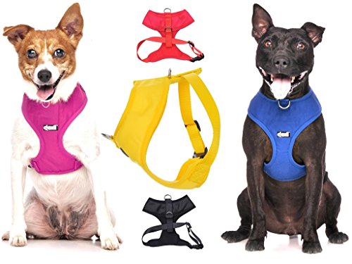 Dexil Elite Range Hundegeschirr, gepolstert, wasserfest, verstellbar, Ring hinten und vorne (zum Vermeiden von Ziehen)