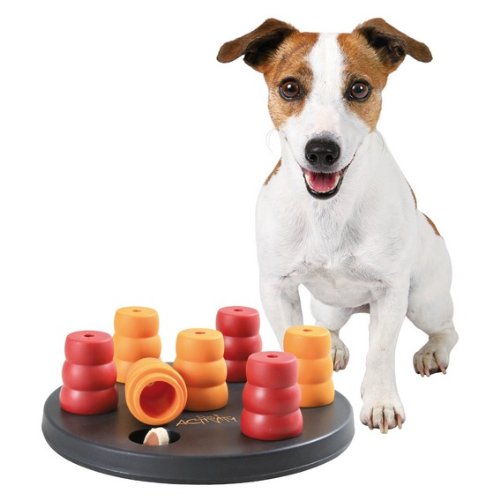 Dog Activity Strategiespiel - Mini Solitär - speziell für kleine Hunde