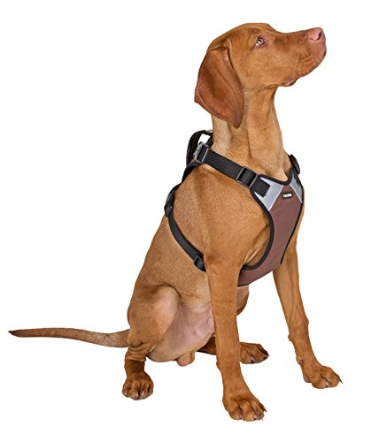Hundegeschirr Pulsive, braun, 62-85cm, 72-96cm K81021 top Qualität