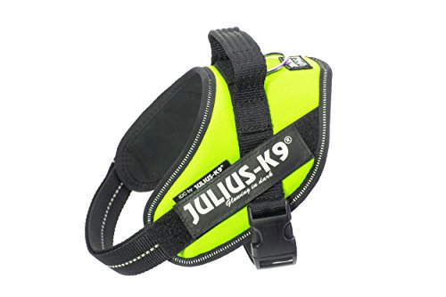 Julius K9 16IDC-NE-M IDC-Powergeschirr mit Logofeld, mini neon grün