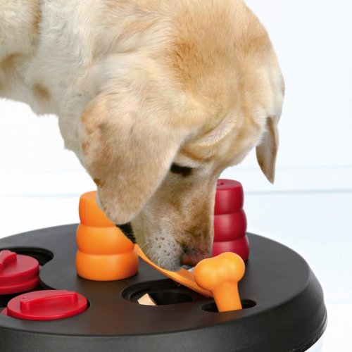 Trixie Dog Activity Strategiespiel Flip Board, Intelligenzspielzeug Hunde