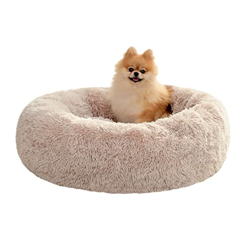 Amazon Brand - Umi Hundebett Plüsch weich warm Donut Haustierbett für Hund Flauschiges kuscheliges Schlafbett Multi-Size-Haustier Sofa für klein-mittelgroße Hunde maschinenwaschbar beige M