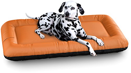 Knuffelwuff Wasserfestes In und Outdoor Hundebett Lucky Color Edition aus Nylongewebe XL 100 x 73cm Orange