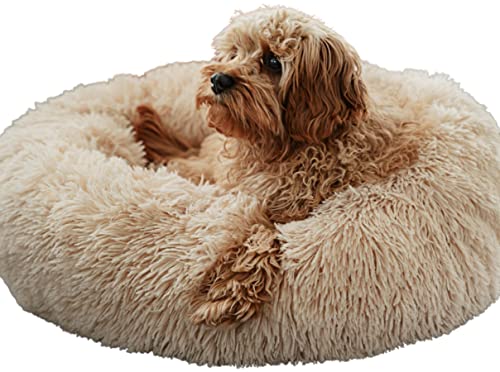 Caveli Pet Products Hundekorb Hundebett waschbar für Kleine Mittelgroße Hunde bis 12kg Abnehmbarer Bezug 60 cm Orthopädisches Rund Donut Beige flauschig beruhigend Anti-Angst
