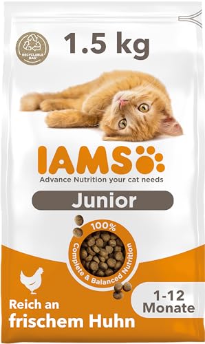 IAMS Junior Katzenfutter trocken mit Huhn - Trockenfutter für Kitten im Alter von 1-12 Monaten, 1,5 kg IAMS Junior Katzenfutter trocken mit Huhn - Trockenfutter für Kitten im Alter von 1-12 Monaten, 1,5 kg